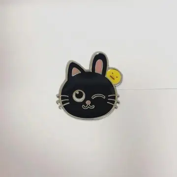 RIIZE 원빈 랜덤 커스텀 참