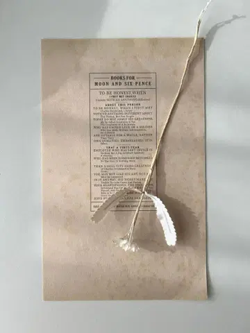 브라이스 아웃핏