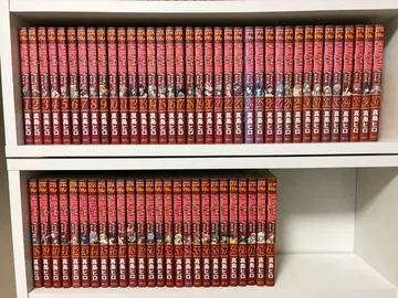 페어리 테일 전권