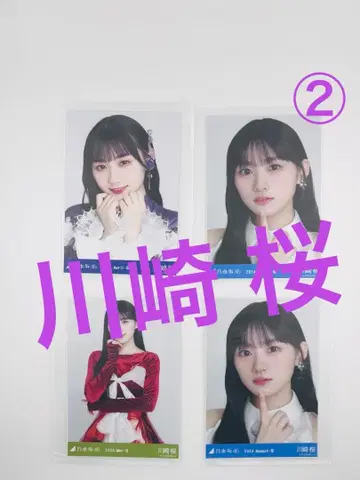 카와사키 벚꽃 2 4세트 [세트 판매] YN46-5N63532