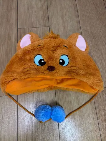 디즈니 루즈 팬캡