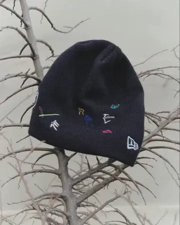 NEWERA PERVERZE 비니