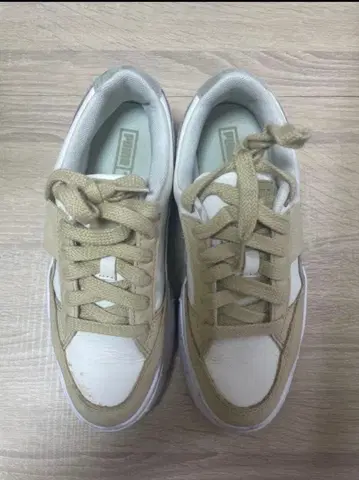 PUMA 베이지 화이트 통굽 스니커즈