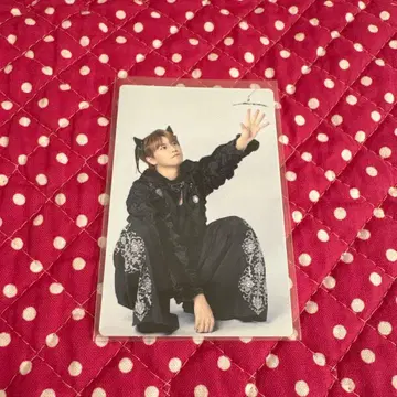 초특급 NINE LIVES 타카시 솔로반 트레이딩 카드 고양이