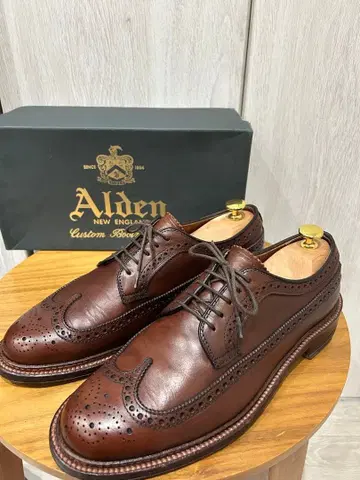 Alden D4511 8D 윙팁