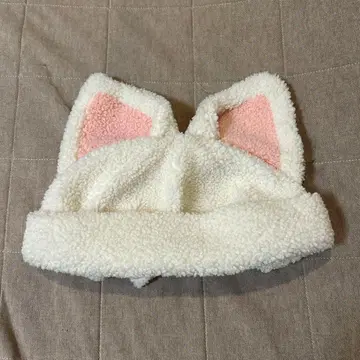 straykids dominate 아이엔 보아캡