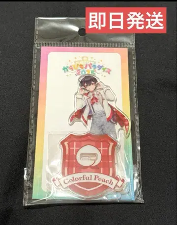 새상품 컬러풀피치 아크릴 스탠드 카라피치 파라다이스 2025 유안군