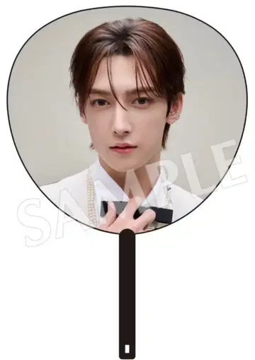 ROIROM 로이롬 부채