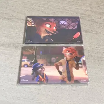 주토피아 캔 마그넷 세트