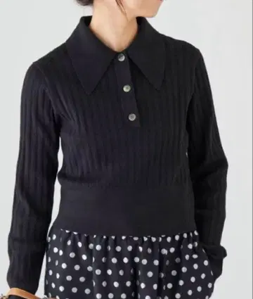 IENA 카라 부착 숏 니트 풀오버