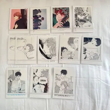 기븐전 ENCORE 파샤코레 PREMIUM 마후유