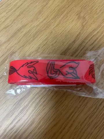 세카오와 Phoenix 도쿄 공연 러버밴드