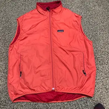 Patagonia 오렌지 베스트 퍼프볼