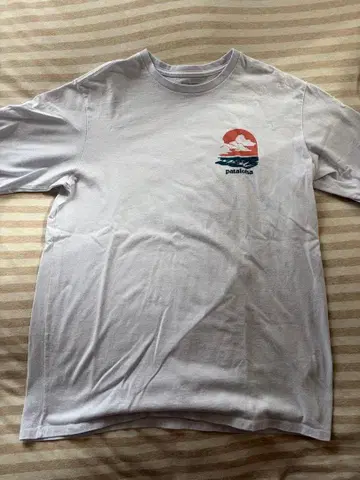 하와이 한정판 파타고니아 T셔츠 M patagonia