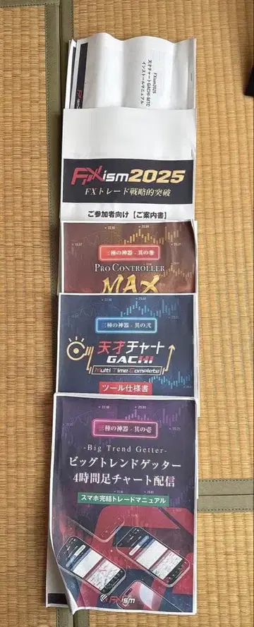 오이카와 FX4 자료