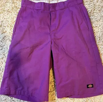 Dickies 루즈핏 숏팬츠 32