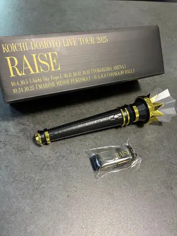 KOICHI DOMOTO LIVE TOUR 2025 RAISE 응원봉