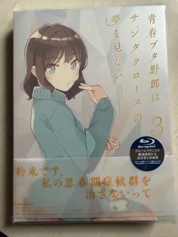 청춘 돼지 녀석은 산타클로스의 꿈을 꾸지 않아 3 (완전 생산 한정판)