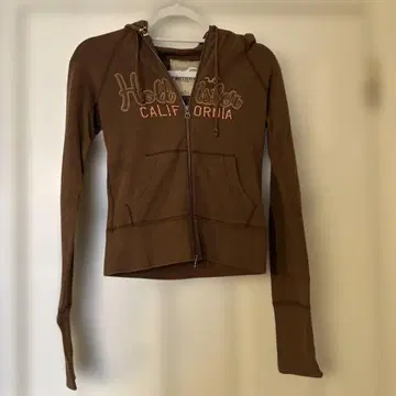 홀리스터 브라운 후드티 Y2K