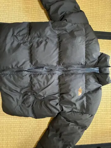 THE NORTH FACE 블랙 다운 자켓