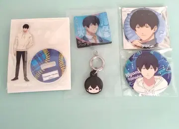 망각 배터리 청봉하류화 묶음 판매