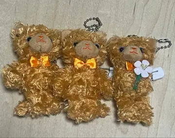 프린스 캣 푸치 아란차 3종 세트