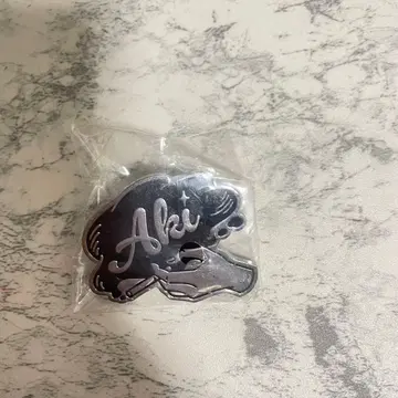 체인소 맨 모티브 핀즈 하야카와 아키