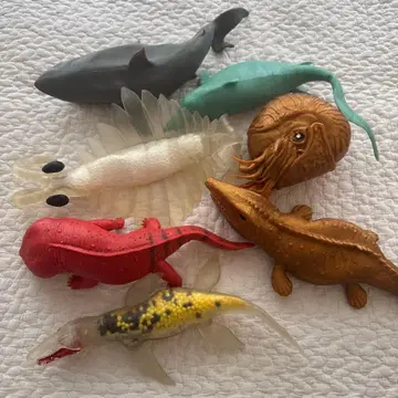 바다의 공룡&Co.