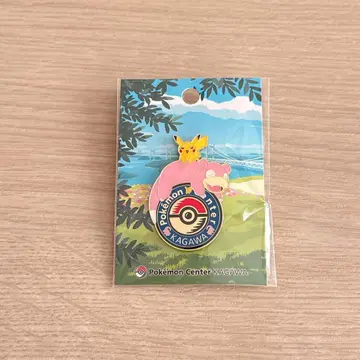 포켓몬 센터 카가와 로고 핀즈 야돈 피카츄