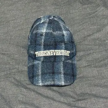 THISISNEVERTHAT 캡