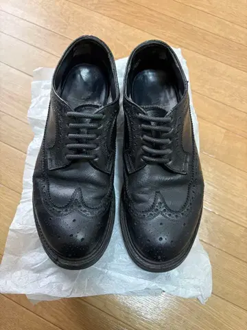 regal x nonnative 고어텍스 윙팁 블랙