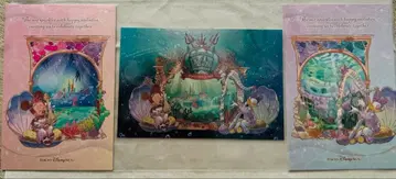 [인기 최고!] 도쿄디즈니씨 24주년 엽서 미니 데이지
