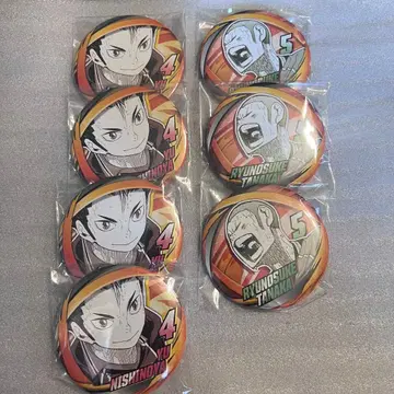 하이큐!! 니시노야 유우 타나카 류노스케 컬렉션 캔뱃지 FUN 팬파크