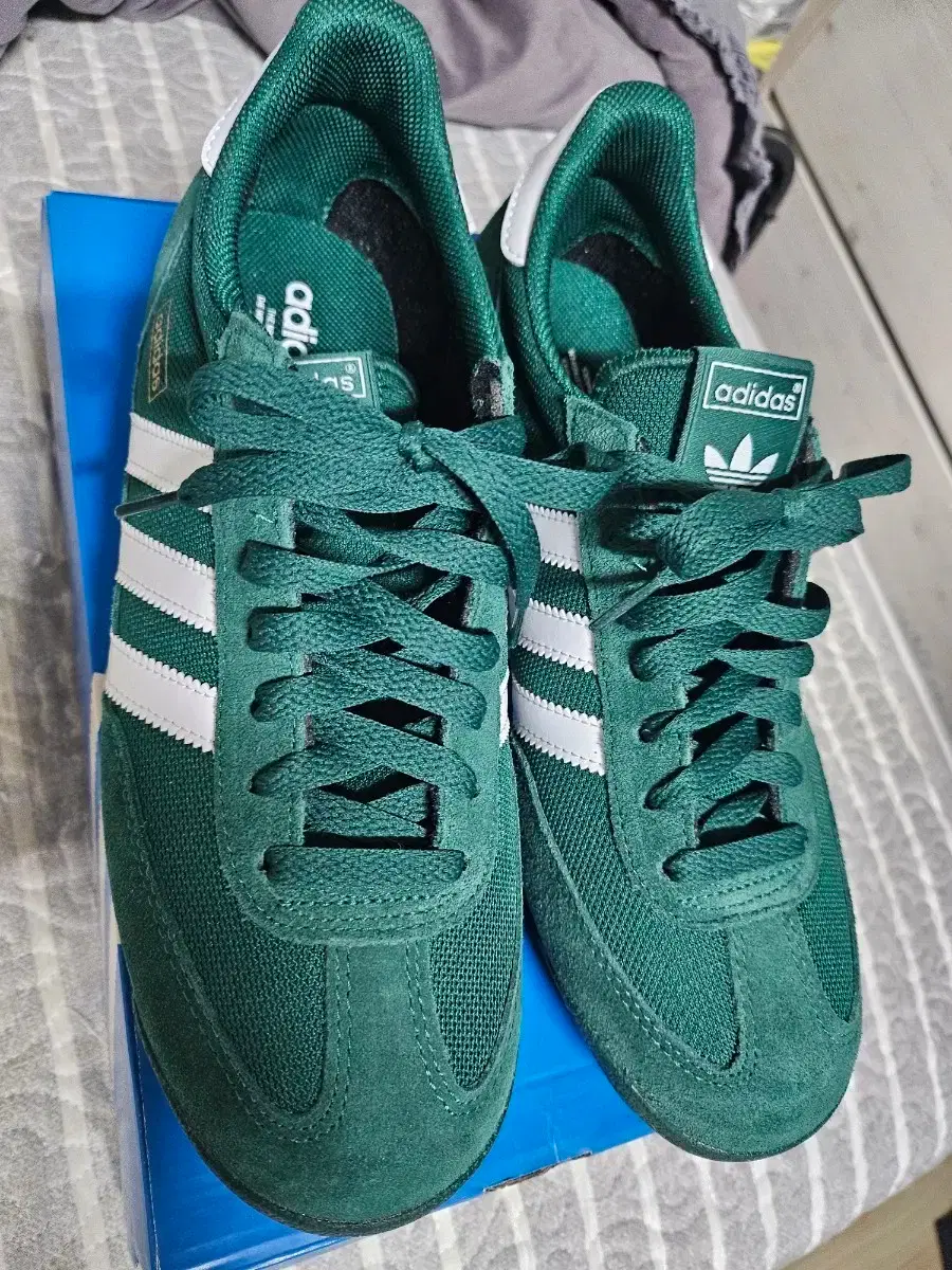 Adidas shoes