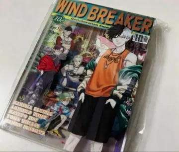 WIND BREAKER 윈브레 문구 카페 아크릴 블록 사쿠라바 하루카