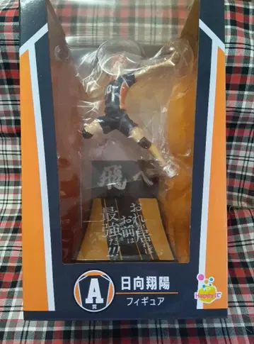 Happy 복권 하이큐!! 히나타 쇼요 A상