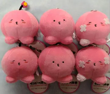 타코피 마스코트 봉제 인형 6개 세트