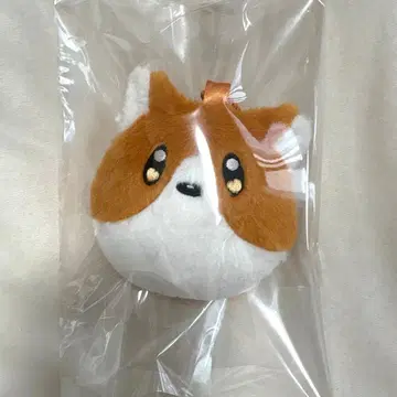 요루시카 강아지 봉제 인형 키링