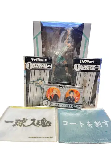 하이큐 happy 복권 D상 이와이즈미 하지메 피규어