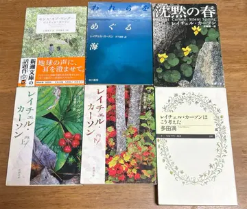 레이첼 카슨 3+3