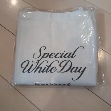 변우석 팬미팅 토트백