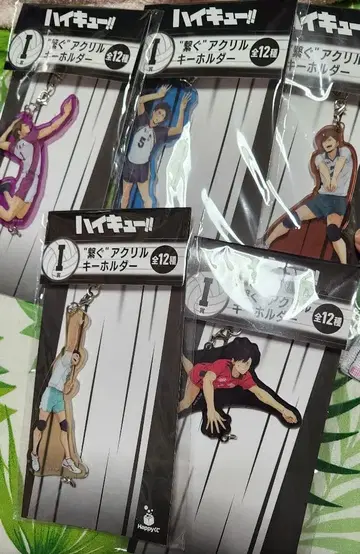하이큐!! Happy I상 잇는 아크릴 키링 5개 세트