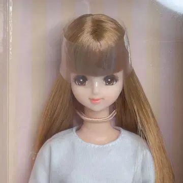 리카짱 캐슬 제니 행사 모델