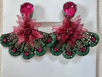 미하엘 네그린의 부채꼴 귀찌