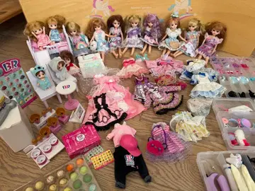 리카짱 인형 세트 13체와 의상