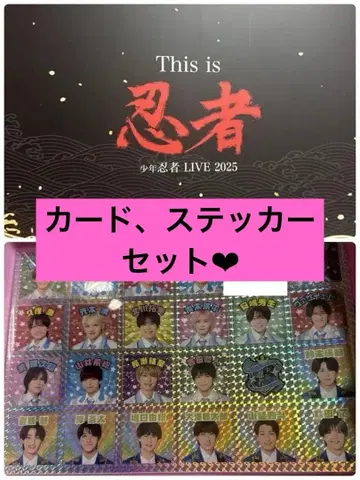 Thisis 닌자 라이브 굿즈 소년 닌자 1.