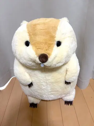 마모트 마모트의 모토토토 모아 봉제 인형 빅 크림색