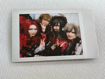 Royz 스바루 프로듀스 혜택 폴라로이드