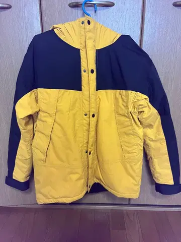 워크맨 이지스 퓨전 다운