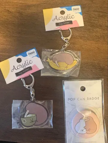 느긋한 키위 아크릴 키링 배지 세트